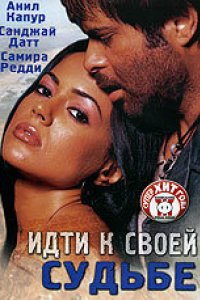 Идти к своей судьбе (2004)