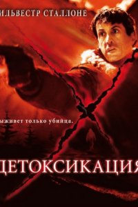 Детоксикация (2001)