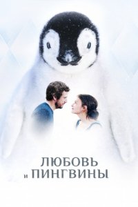 Любовь и пингвины (2016)