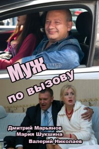 Муж по вызову (2015)