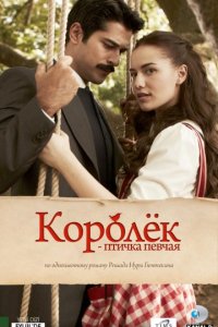 Королёк — птичка певчая