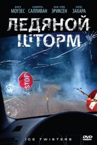 Ледяной шторм (2009)